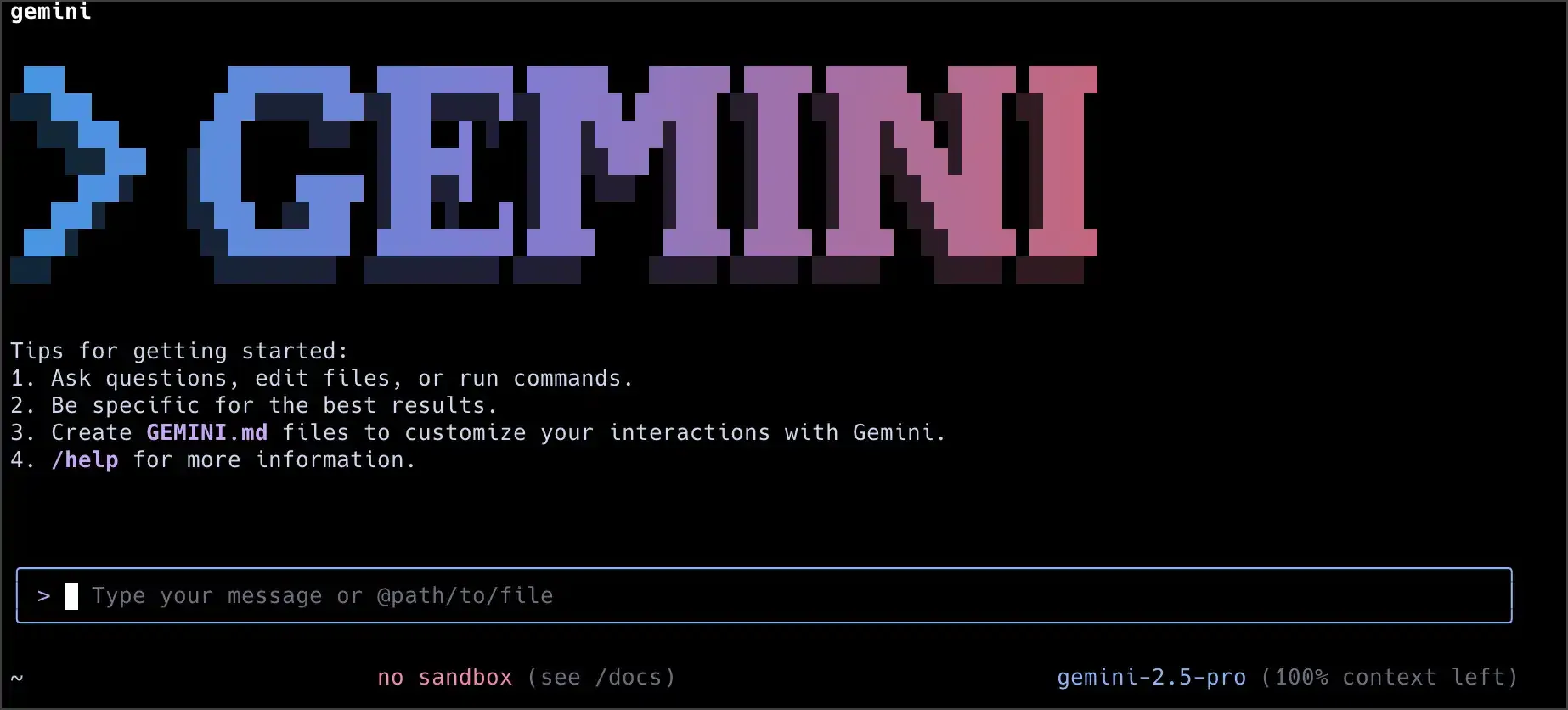 Gemini Cli